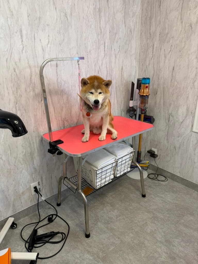 わんちゃん専用のお手入れスペース
