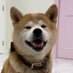 ねむの顔写真